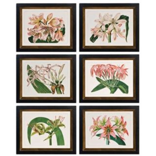 Set of 6 Uttermost Lily 17 7/8" Wide Floral Wall Art   #W2808
