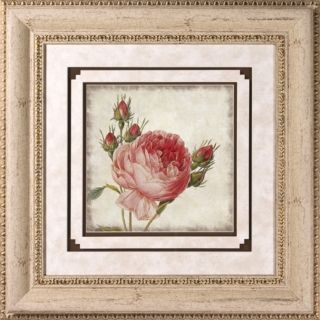 Close Up Rose II Print Under Glass 22" Square Wall Art   #H1926