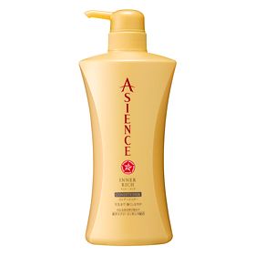 Kao Asience Inner Rich Conditioner 530ml New