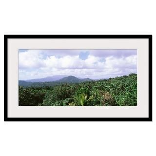 Dominican Republic, Tree on the mountains Framed Print