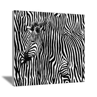 Wall Art  Canvas Art  Zebra Striped Canvas Art