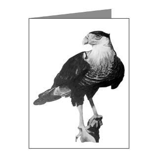 Gifts  Animals Note Cards  Mexican Eagle Note Cards (Pk of 10