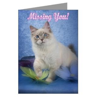 Breeder Greeting Cards  Ragdoll Kitten Greeting Cards (Pk of 10