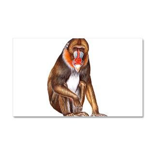 Animal Gifts  Animal Wall Decals  Mandrill Baboon Zoo Monkey