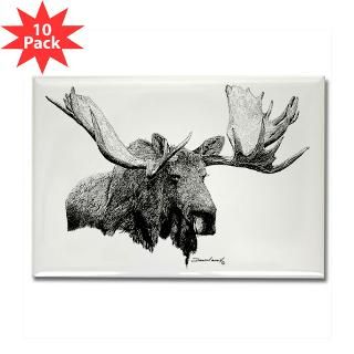 Bull Moose Rectangle Magnet (10 pack)