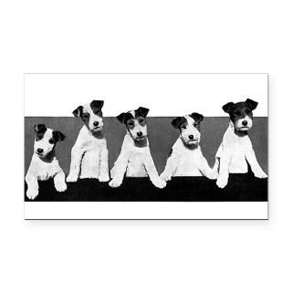 Jack Russell Terriers Rectangle Car Magnet