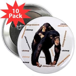 Chimpanzee : Funny Animal T Shirts