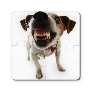 woof Puzzle Coasters (set of 4)