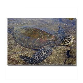 Honu   Sea Turtle  A Friend in the Islands Custom Designs