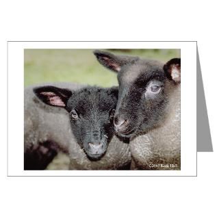 Lion And Lamb Greeting Cards  Buy Lion And Lamb Cards
