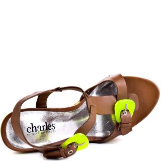 Charles by Charles Davids Multi Color Aglow   Root for 134.99