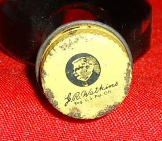 Vintage J R Watkins Bottle Mapelex Flavor