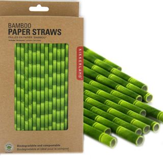 Kikkerland Biodegradable Paper Straws Bamboo Pattern Design Box of 144