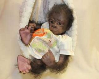 Reborn Gorilla Kiwi Kit Denise Pratt Painted Rooted with Eyes Inserted