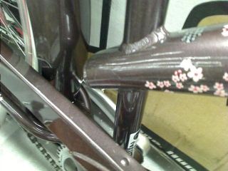 Nirve Cherry Blossom Ladies 3 Speed Bicycle Mocha 17  Frame