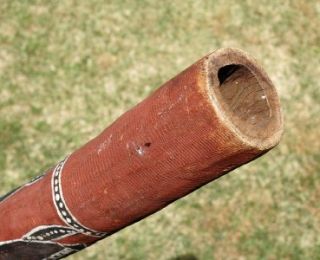 Aboriginal Didgeridoo Hand Painted Ochres Turtle Barra Totems