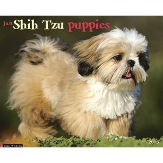 Just Shih Tzu Puppies 2013 Wall Calendar