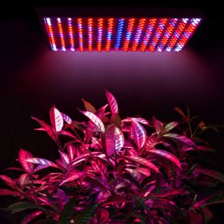 Blue Red Orange White LED Hydroponics Plant Grow Light Panel