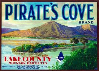 Pirates Cove Vintage Pear Crate Label Lake County CA