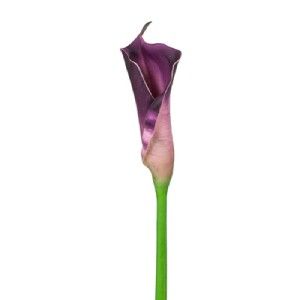 Calla Lily Purple Real Touch Latex Artificial Flowers Quality Large
