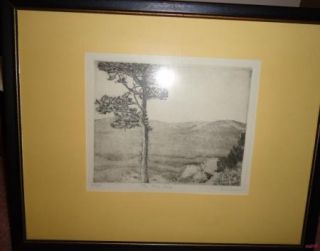 Framed Signed Don Swann Etching Lone Pine Edition