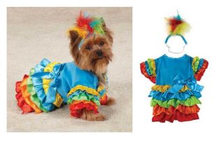 Polly Parrot Costume for Dogs   Fiesta Dog Costumes