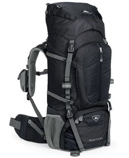 High Sierra Backpack, 65 Liter Sentinel Frame Pack   Backpacks