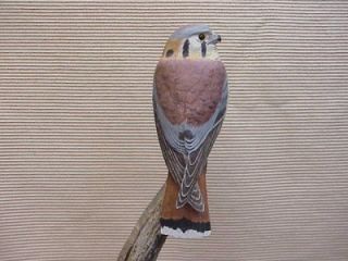 607 Finest Wood Bird Sculpture Hawk Signed Lloyd MacBride
