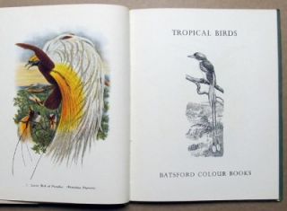 1948 1st Edition Tropical Birds Plates by John Gould Batsford Book