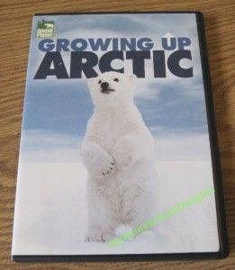 Animal Planet Growing Up Arctic DVD 2008 796019808170