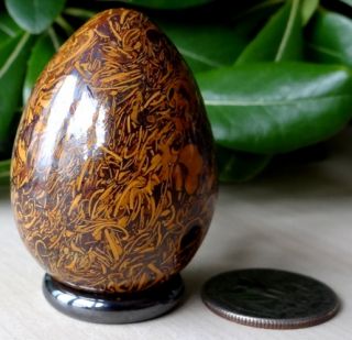 Calligraphy Stone Maryam Gem Stone 48 mm Crystal Egg RARE