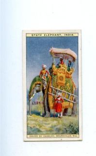 State Elephant India Vintage Advertising Cadbury Card