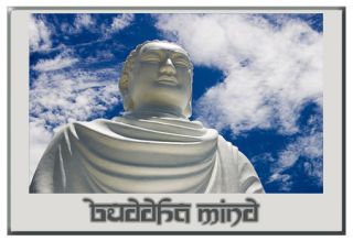 Buddha Mind Zen Buddhism Yoga Meditation T Shirt New