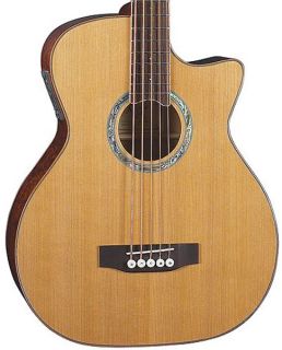 New Michael Kelly MKCC5N Club Custom 5 String Acoustic Bass Guitar