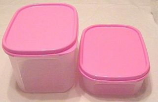 Tupperware Modular Mates Mini Rectangle Pantry Storage Set New Pink
