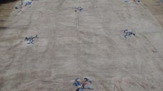 Large Antique Oriental Chinese Rug