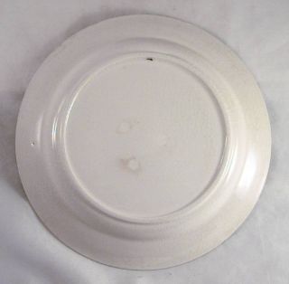 Peafowl Design Green Spatterware Plate Staffordshire