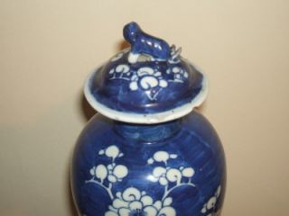 OLD CHINESE BLUE & WHITE PRUNUS VASE & COVER   BLUE DOUBLE CIRCLE MARK