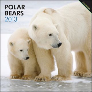 Kalender 2013 Eisbären   Polar Bears   Browntrout