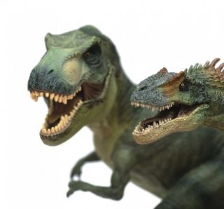 Dinosaurier T Rex Dino Diele Flur Rasch 892604 2014