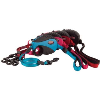 KONG Dog Leashes, Harnesses & Collars