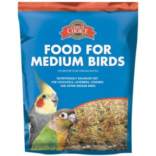 Food & Care   Bird