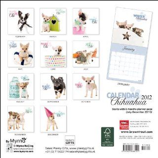 Kalender 2012 Too Cute Chihuahua   By Myrna Browntrout