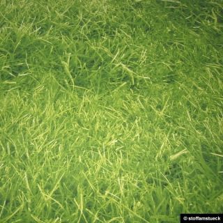 Stoff Baumwolle Polyester Gras Rasen Wiese grün Rasenmäher