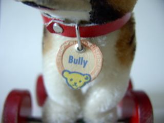 Steiff Hund Bully Bulldogge auf Rädern Exzenterräder nur 1954 bis