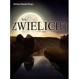 Michael Schmidt (Hrsg.)   Zwielicht eBook Tobias Bachmann, Achim