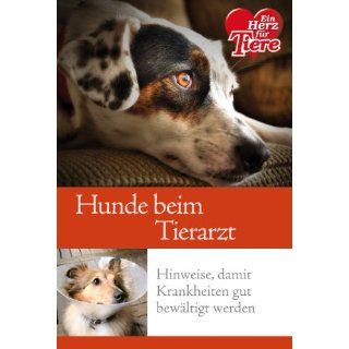 Ratgeber Tiere   Hunde beim Tierarzt. Hinweise, damit Krankheiten gut