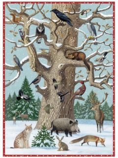 Tiere im Winter Adventskalender: Mit Infotexten zu den Tieren: