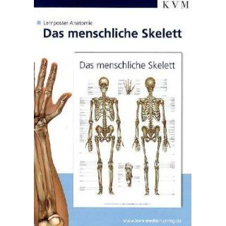 Anatomie Lernposter. Die menschliche Skelett Bücher