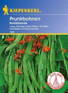  Prunkbohnen Feuerbohnen Rotbluehende Phaseolus Samen Kiepenkerl 145